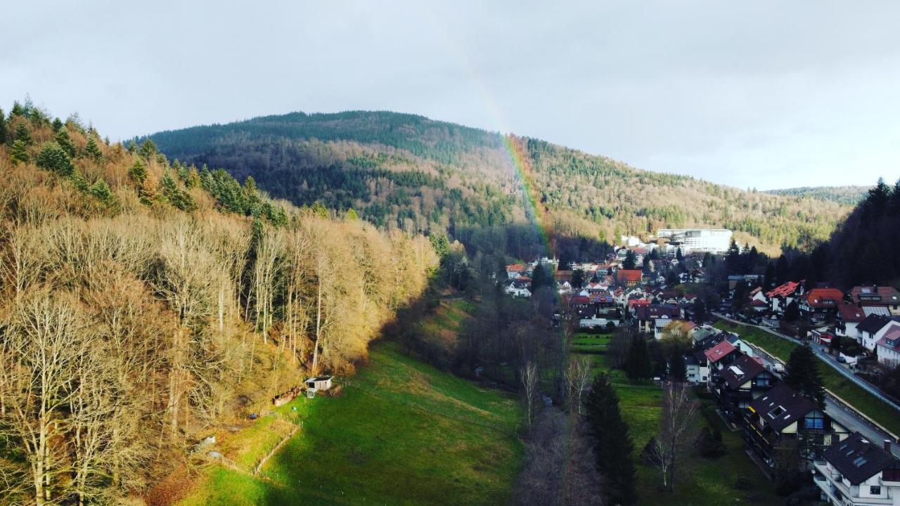 Black Forest Apartment Bad Herrenalb Esterno foto