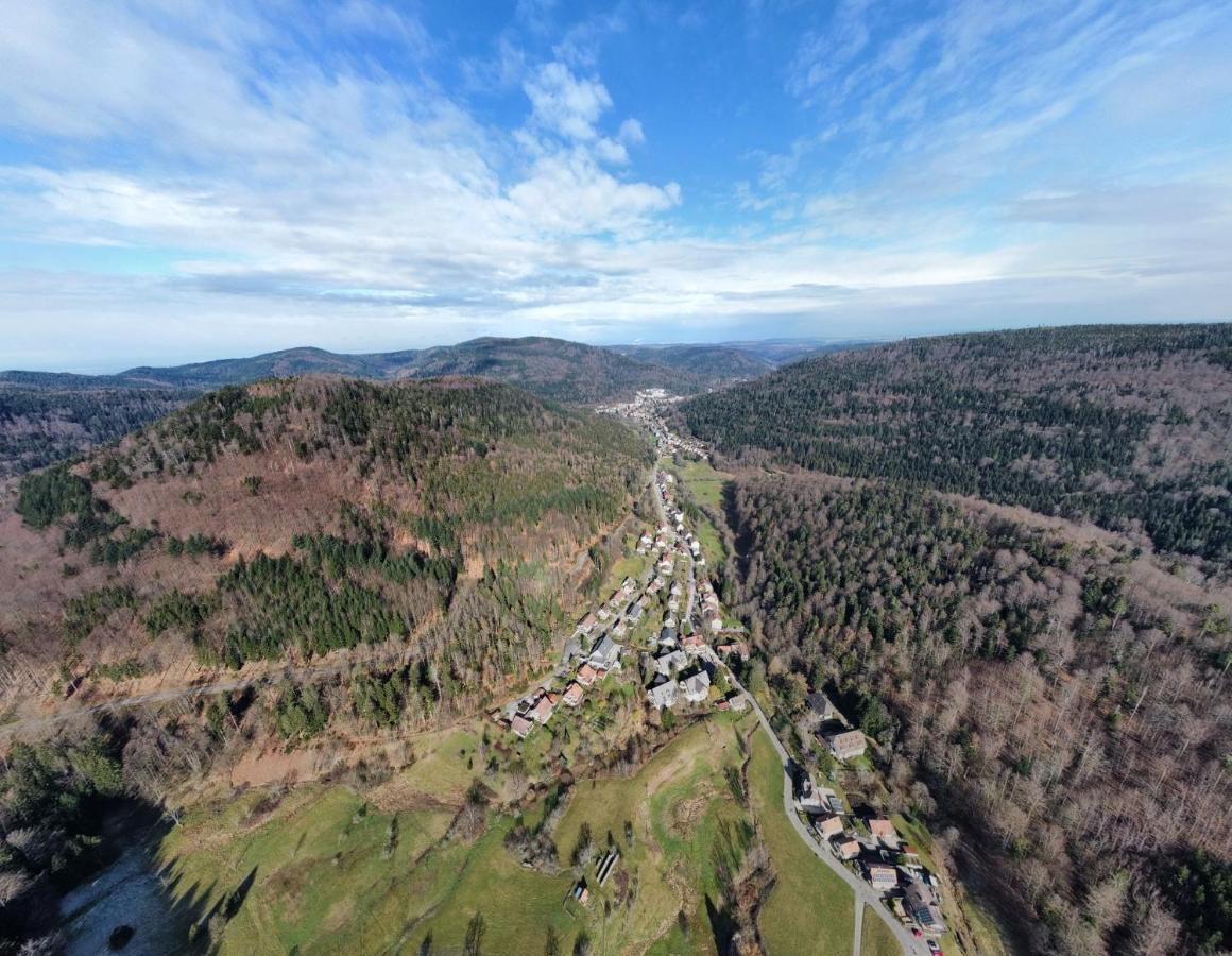 Black Forest Apartment Bad Herrenalb Esterno foto