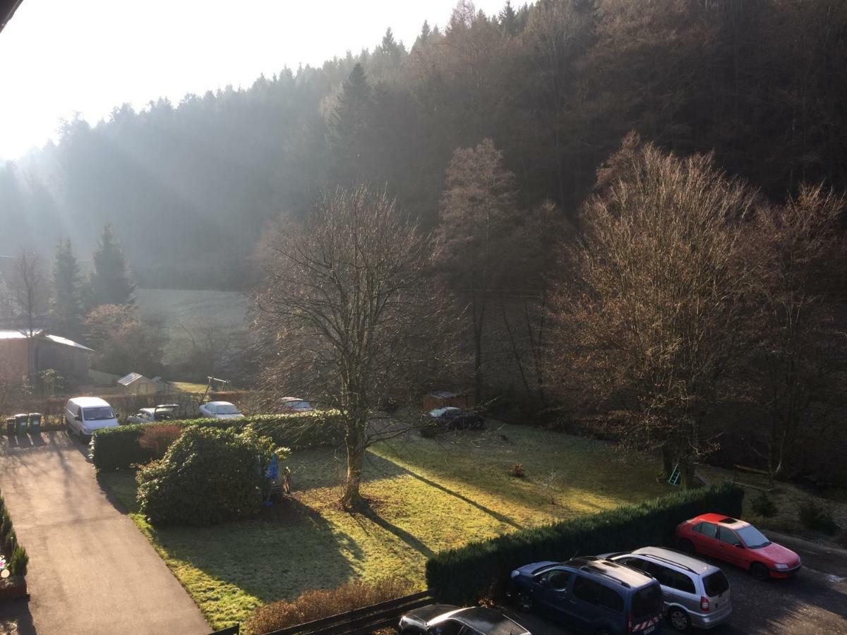 Black Forest Apartment Bad Herrenalb Esterno foto