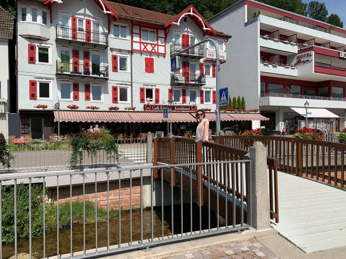 Black Forest Apartment Bad Herrenalb Esterno foto